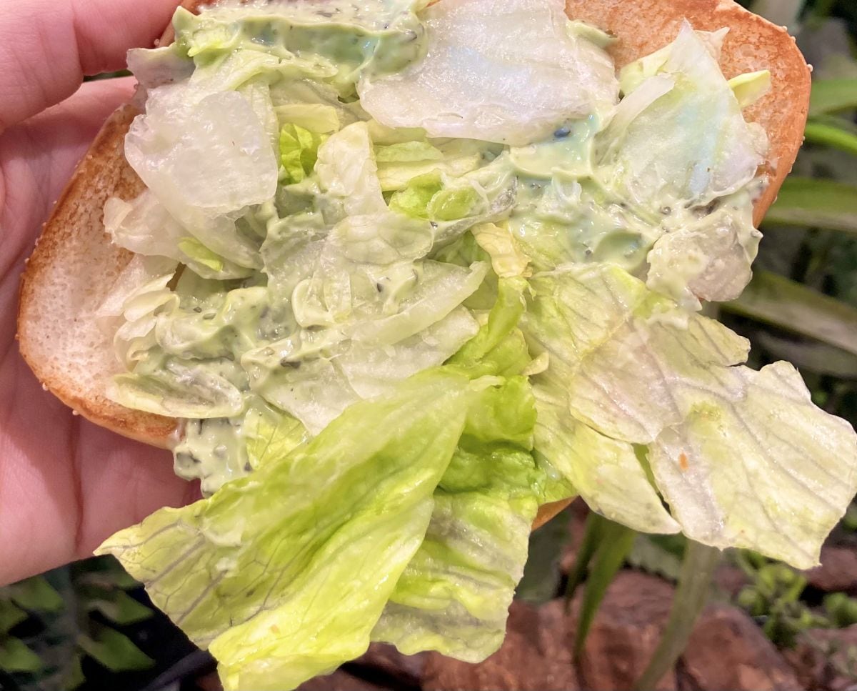 「不味いわけがない」「超美味い」【マクドナルド】サクサク＆ぷりぷりの新作バーガー登場