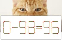 【マッチ棒パズル】正しい式にしよう！「0-98=96」【毎日脳トレ】
