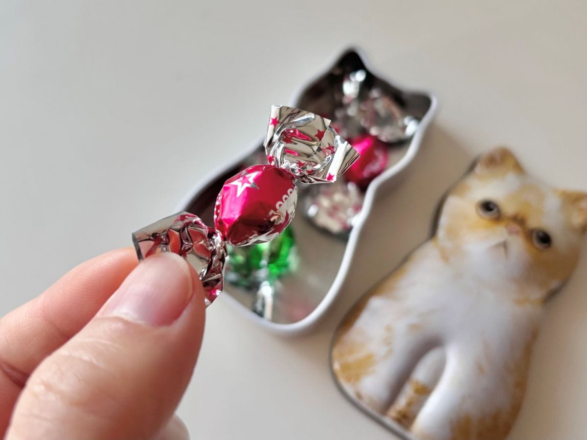 【カルディ】「ミニねこ缶」が今年も登場!可愛いデザインはバレンタインのプチギフトにも♡