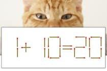 【マッチ棒パズル】正しい式にしよう！「1+10=20」【毎日脳トレ】