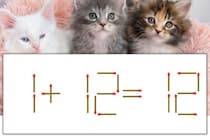 【マッチ棒パズル】正しい式にしよう！「1+12=12」【毎日脳トレ】