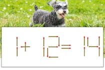 【マッチ棒パズル】正しい式にしよう！「1+12=14」【毎日脳トレ】
