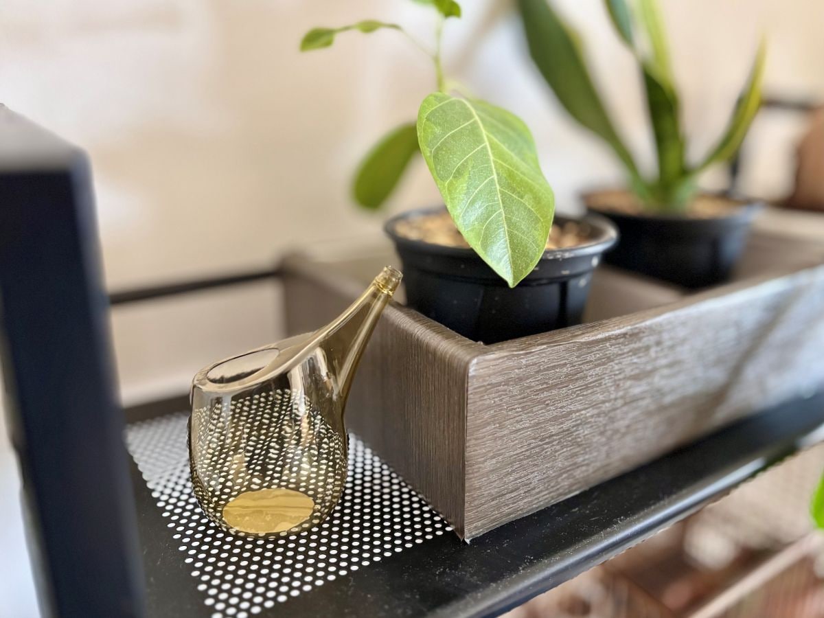 100均のじょうろ4つ買ってみた！小さいじょうろやペットボトル対応も