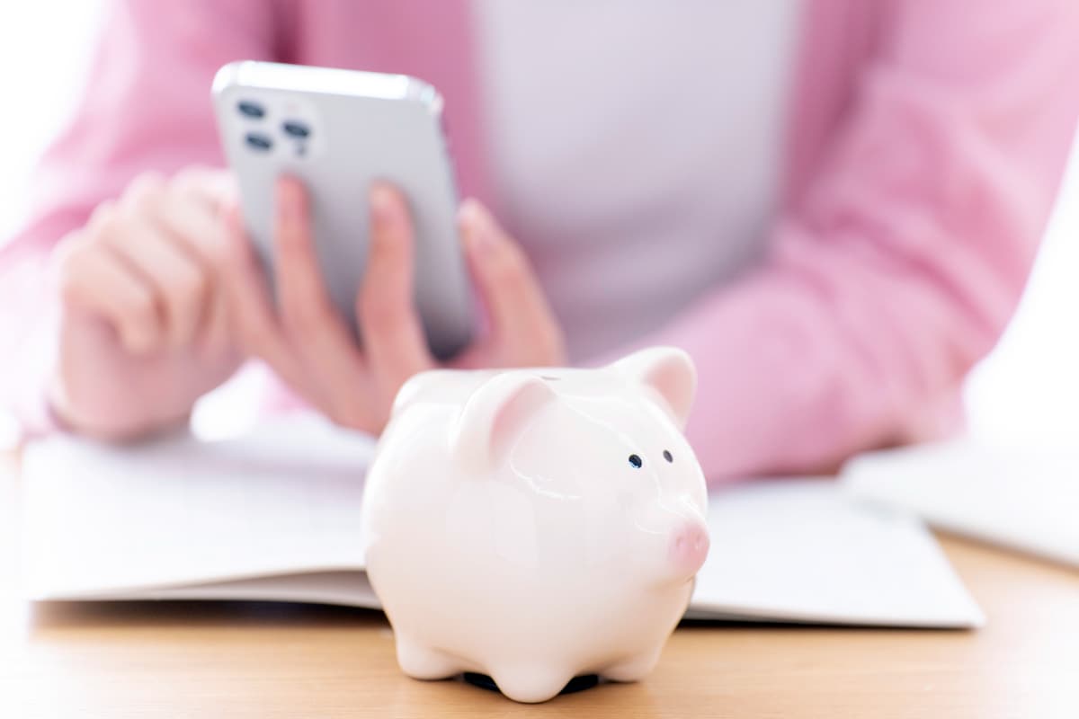 ボーナスなし、退職金なしの派遣社員。双子の妹と暮らす年収300万・48歳女性が始めた電気代節約生活