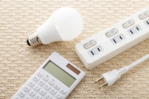 ボーナスなし、退職金なしの派遣社員。双子の妹と暮らす年収300万・48歳女性が始めた電気代節約生活