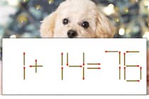 【マッチ棒パズル】正しい式にしよう！「1+14=76」【毎日脳トレ】