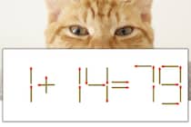 【マッチ棒パズル】正しい式にしよう！「1+14=79」【毎日脳トレ】
