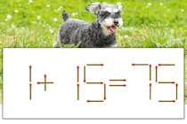 【マッチ棒パズル】正しい式にしよう！「1+15=75」【毎日脳トレ】
