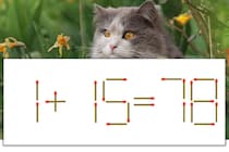 【マッチ棒パズル】正しい式にしよう！「1+15=78」【毎日脳トレ】