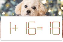 【マッチ棒パズル】正しい式にしよう！「1+16=18」【毎日脳トレ】
