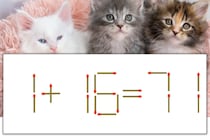 【マッチ棒パズル】正しい式にしよう！「1+16=71」【毎日脳トレ】