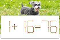 【マッチ棒パズル】正しい式にしよう！「1+16=76」【毎日脳トレ】