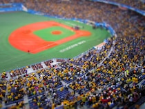阪神の161キロ右腕への大胆アドバイスと巨人の新外国人に見つけた重大な欠点！新庄監督が指摘した「公式球の違和感」