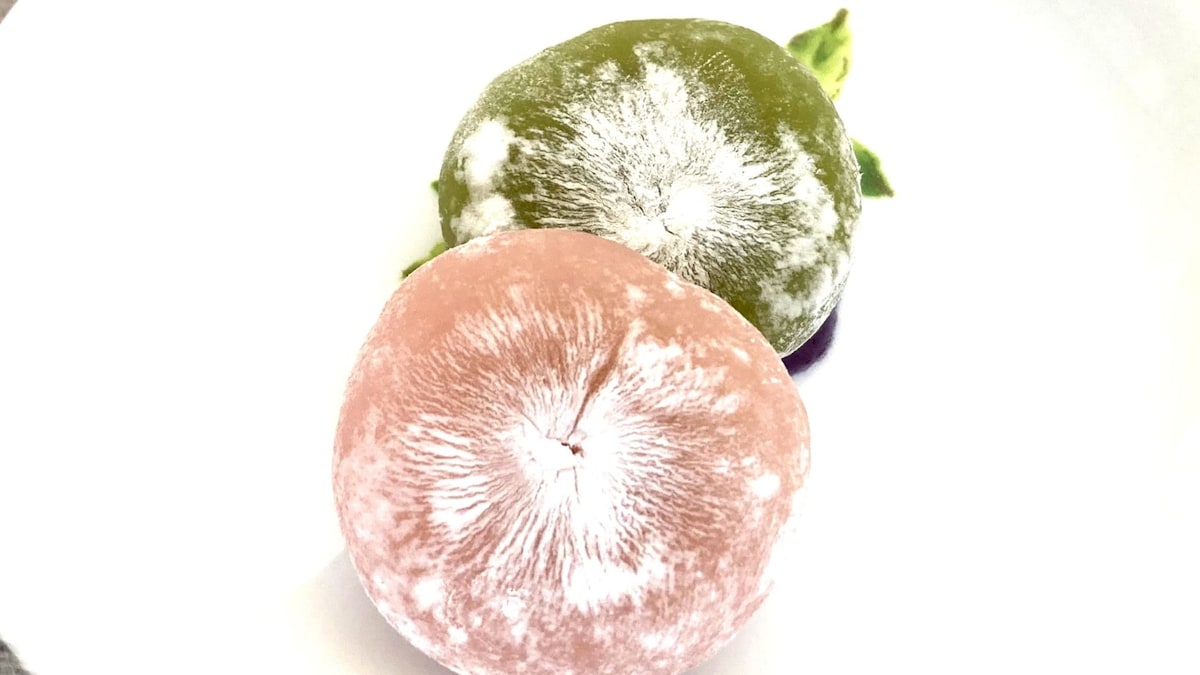 2026年春の新商品「お餅スイーツ」が激！激！！激うまだった【無印の桜シリーズ】他社の類似商品と比較しても圧倒的におすすめ