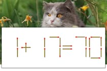 【マッチ棒パズル】正しい式にしよう！「1+17=70」【毎日脳トレ】