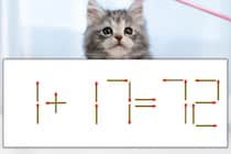 【マッチ棒パズル】正しい式にしよう！「1+17=72」【毎日脳トレ】