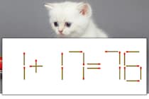 【マッチ棒パズル】正しい式にしよう！「1+17=76」【毎日脳トレ】