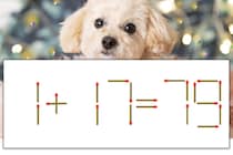 【マッチ棒パズル】正しい式にしよう！「1+17=79」【毎日脳トレ】