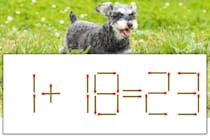 【マッチ棒パズル】正しい式にしよう！「1+18=23」【毎日脳トレ】