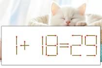 【マッチ棒パズル】正しい式にしよう！「1+18=29」【毎日脳トレ】