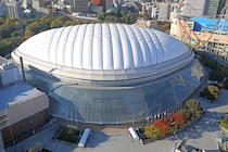 東京ドームに現れた“黄色い集団”に米解説者が夢中！大谷翔平の愛犬・デコピンが日本で「やらかした」衝撃姿と、運命に翻弄された90歳女性の気高き人生