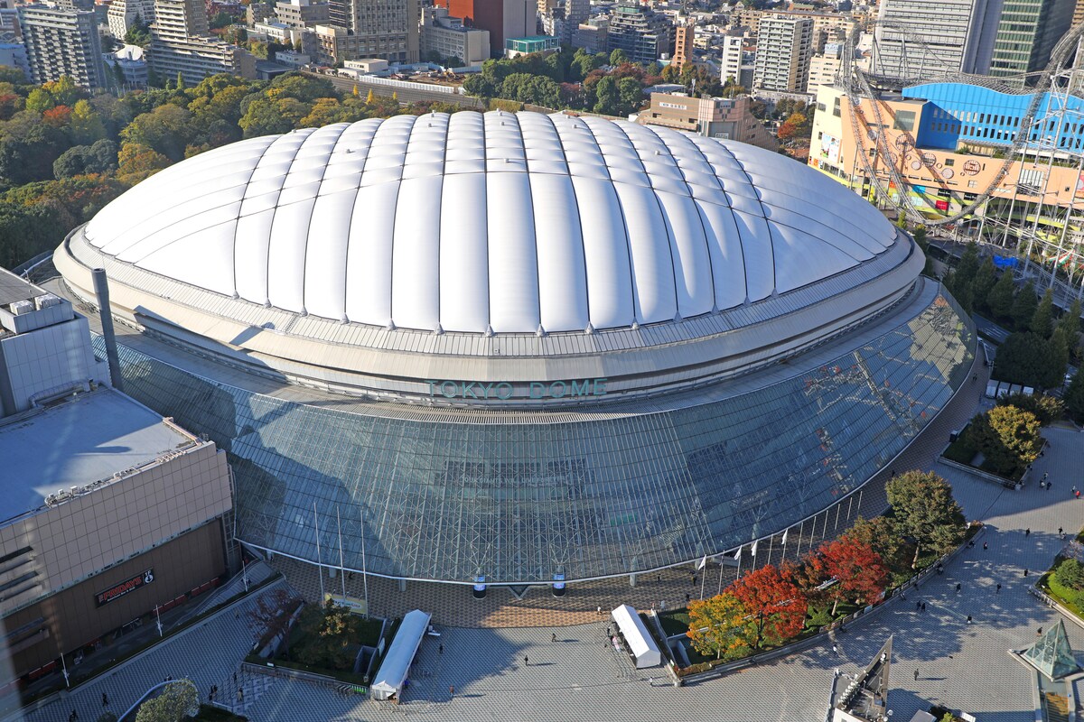 東京ドームに現れた“黄色い集団”に米解説者が夢中!大谷翔平の愛犬・デコピンが日本で「やらかした」衝撃姿と、運命に翻弄された90歳女性の気高き人生