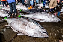 「昨日までスター、今日から無職」元ドラ1が辿り着いた意外な場所。コメダで「こんなに美味しいものが…!?」と驚いたメニュー