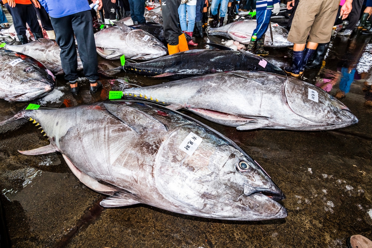 「昨日までスター、今日から無職」元ドラ1が辿り着いた意外な場所。コメダで「こんなに美味しいものが…!?」と驚いたメニュー
