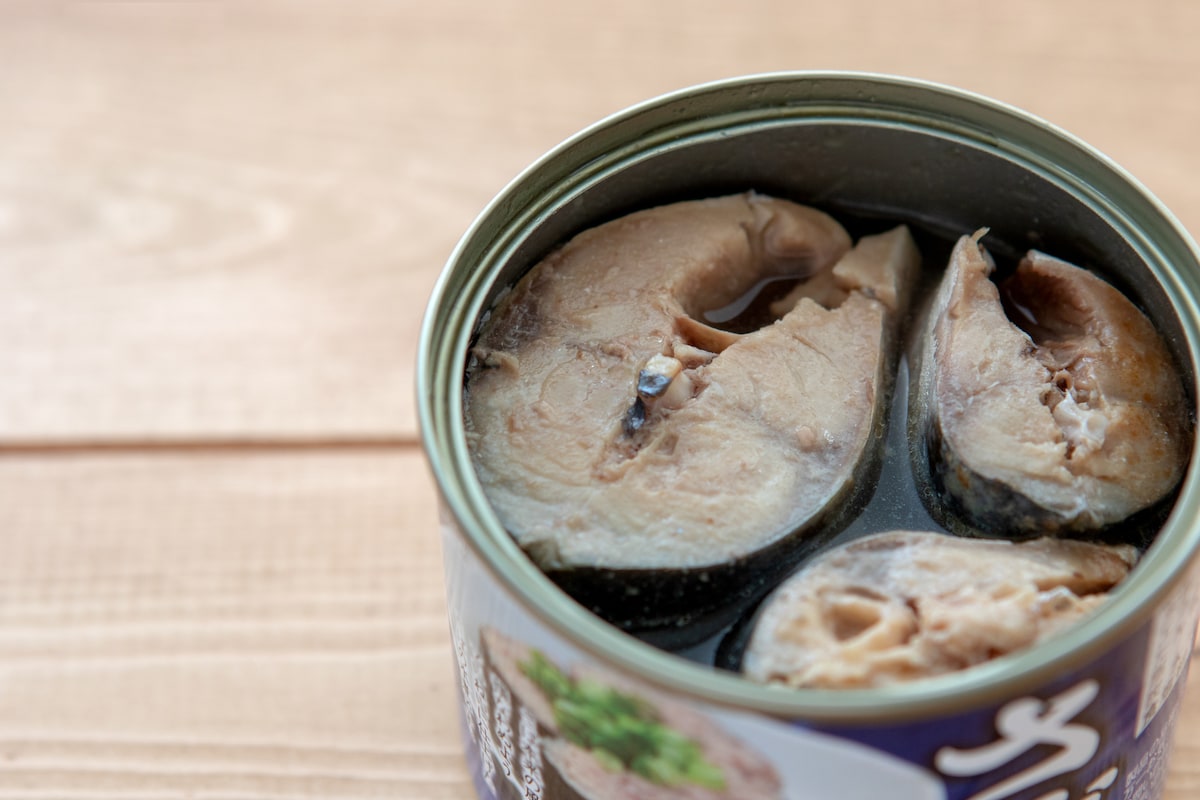 お財布にも優しい「サバ缶」を使ったレシピを紹介！！そのほか鶏むね肉のコーンクリーム煮やふわふわ卵のあんかけも