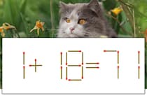 【マッチ棒パズル】正しい式にしよう！「1+18=71」【毎日脳トレ】