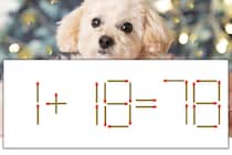 【マッチ棒パズル】正しい式にしよう！「1+18=78」【毎日脳トレ】