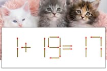 【マッチ棒パズル】正しい式にしよう！「1+19=17」【毎日脳トレ】
