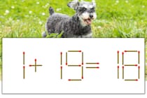 【マッチ棒パズル】正しい式にしよう！「1+19=18」【毎日脳トレ】