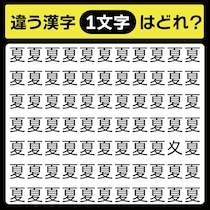 「夏の中に隠れてるのは？」漢字間違い探しで脳トレしよう！【毎日脳トレ】【クイズ】
