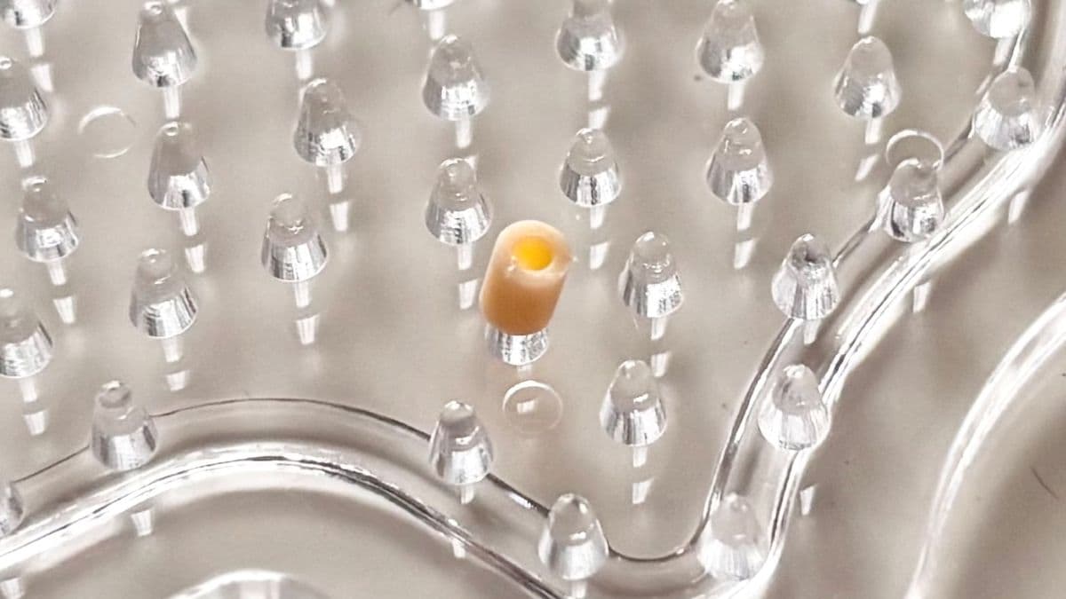 100均のアイロンビーズがすごい！コスパ最強で子どもが夢中に♡