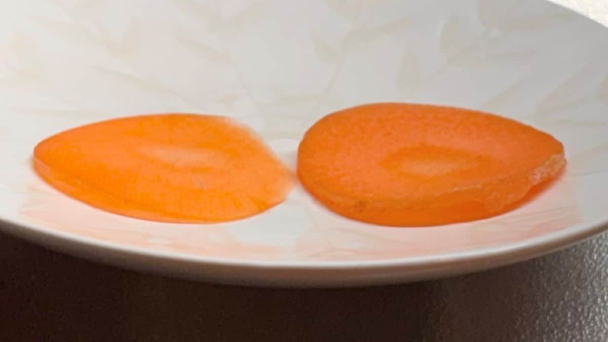 100均の千切りスライサー比較！ まさかの結果に驚き…結局おすすめはどれ？ 【ダイソー・セリア・キャンドゥ】