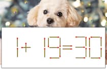 【マッチ棒パズル】正しい式にしよう！「1+19=30」【毎日脳トレ】