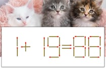 【マッチ棒パズル】正しい式にしよう！「1+19=88」【毎日脳トレ】