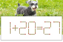 【マッチ棒パズル】正しい式にしよう！「1+20=27」【毎日脳トレ】
