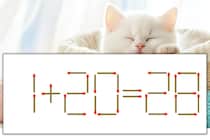 【マッチ棒パズル】正しい式にしよう！「1+20=28」【毎日脳トレ】