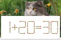 【マッチ棒パズル】正しい式にしよう！「1+20=30」【毎日脳トレ】