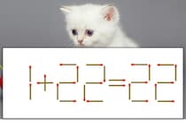 【マッチ棒パズル】正しい式にしよう！「1+22=22」【毎日脳トレ】