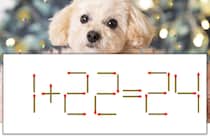 【マッチ棒パズル】正しい式にしよう！「1+22=24」【毎日脳トレ】