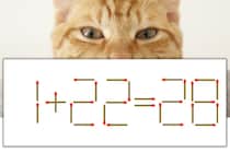 【マッチ棒パズル】正しい式にしよう！「1+22=28」【毎日脳トレ】
