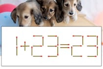 【マッチ棒パズル】正しい式にしよう！「1+23=23」【毎日脳トレ】