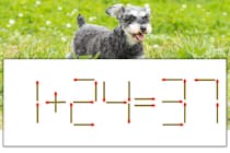 【マッチ棒パズル】正しい式にしよう！「1+24=37」【毎日脳トレ】
