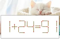 【マッチ棒パズル】正しい式にしよう！「1+24=91」【毎日脳トレ】