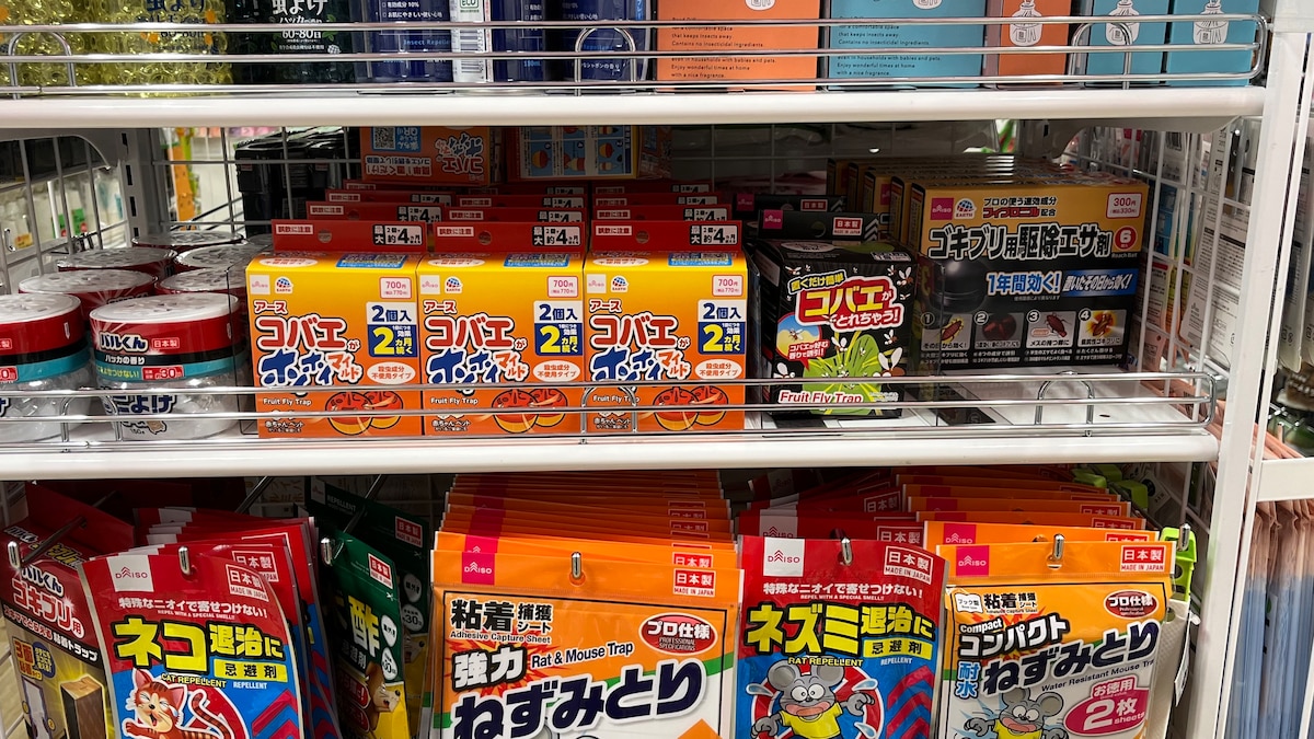 100均にコバエ取りは売ってる？ダイソー・セリア・キャン★ドゥを調査！