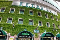 甲子園で鳴らす“サイレンの正体”とは……？そのほか“来年の朝ドラヒロイン”森田望智の軌跡も
