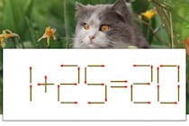 【マッチ棒パズル】正しい式にしよう！「1+25=20」【毎日脳トレ】